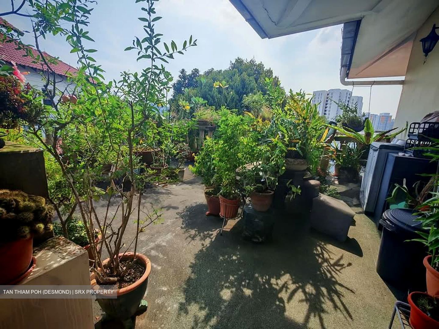 Green Hill Estate (D23), Detached #600070761